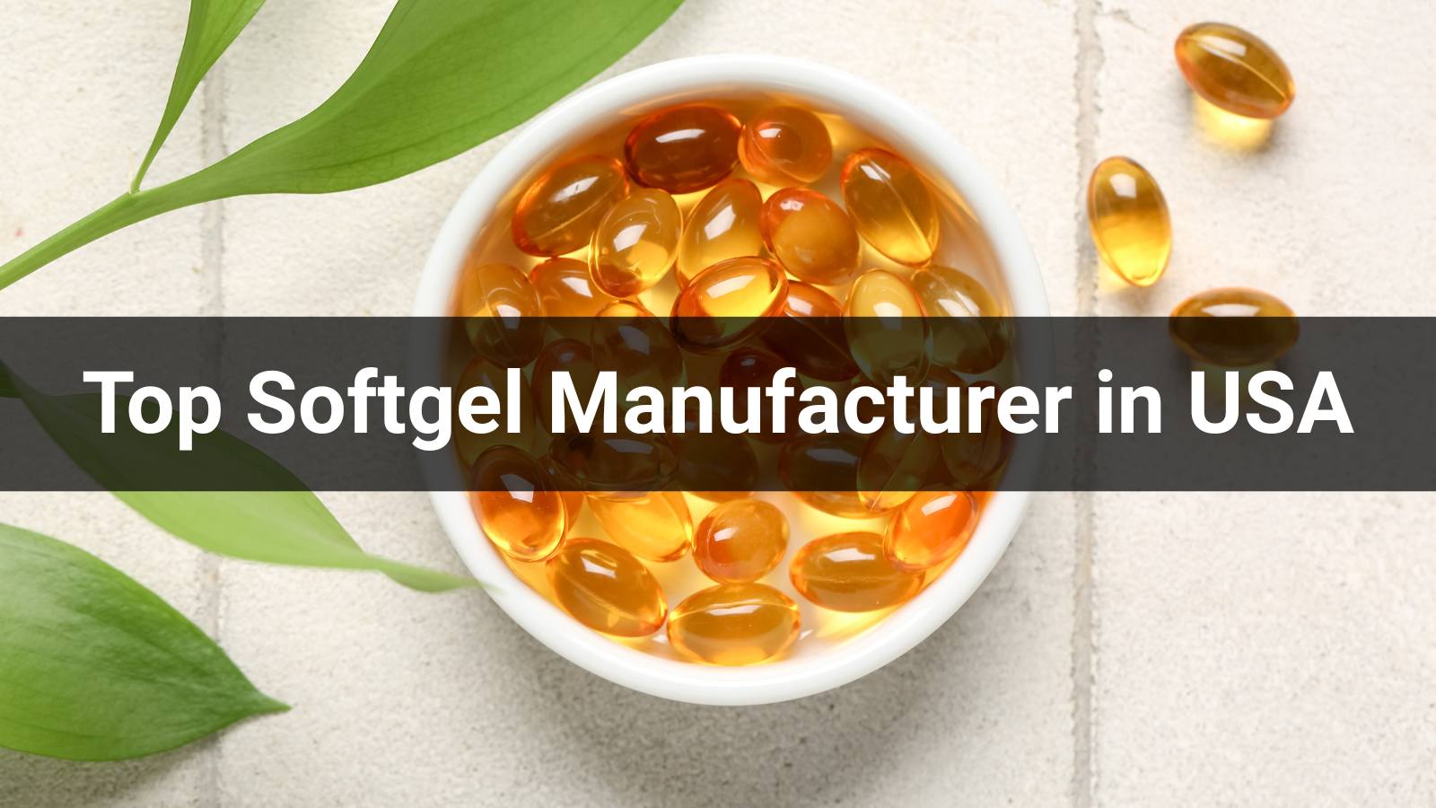 Top 10 softgel manufacturer in USA(2026 Guide)