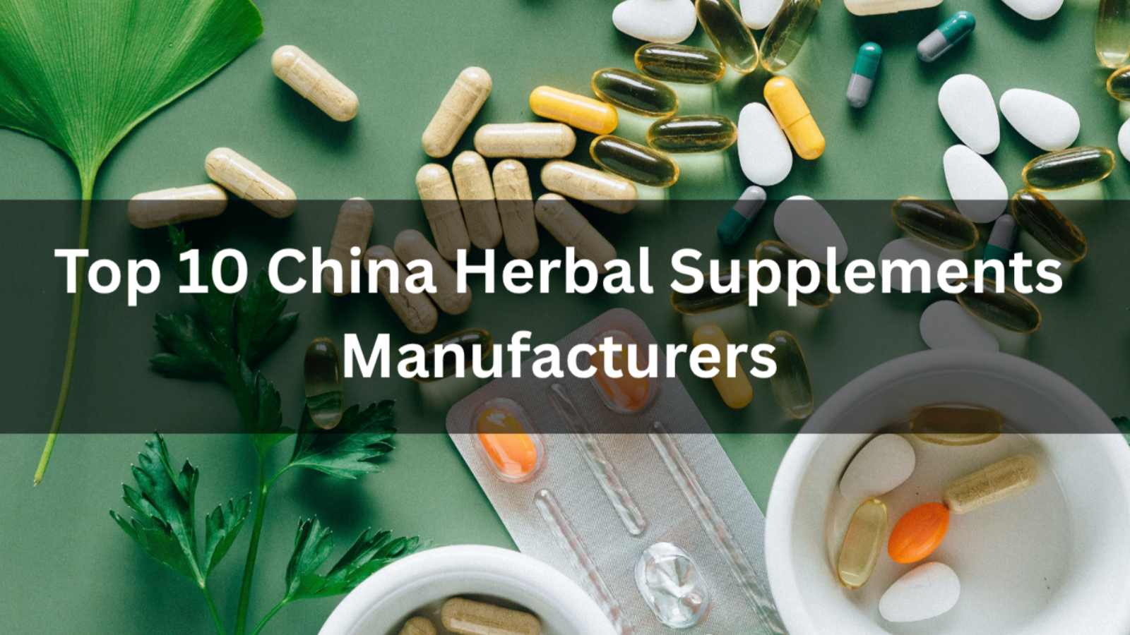 Top 10 China Herbal Supplements Manufacturers in 2026