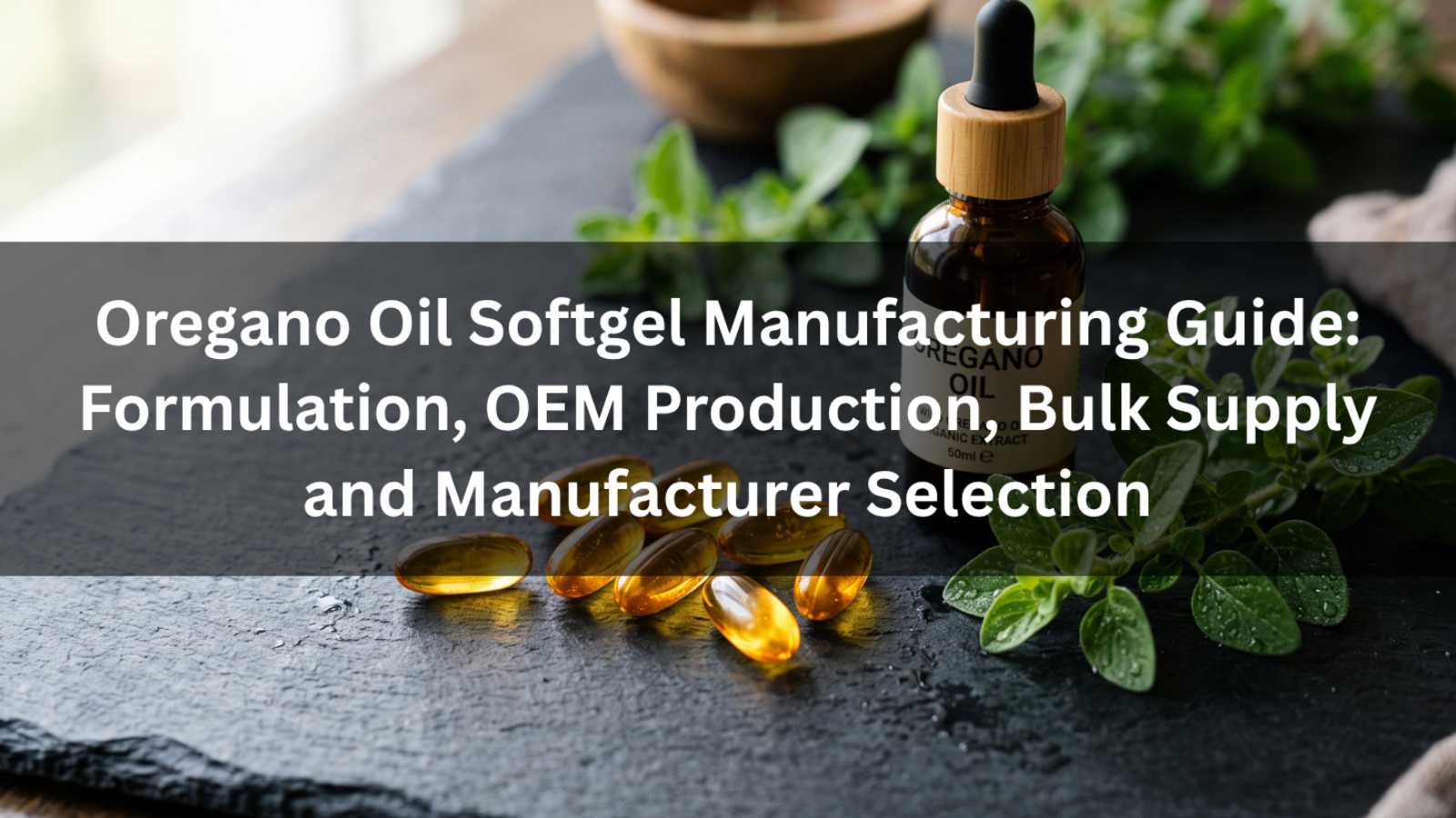 Oregano Oil Softgel Manufacturing Guide: Formulation, OEM Production, Bulk Supply and Manufacturer Selection