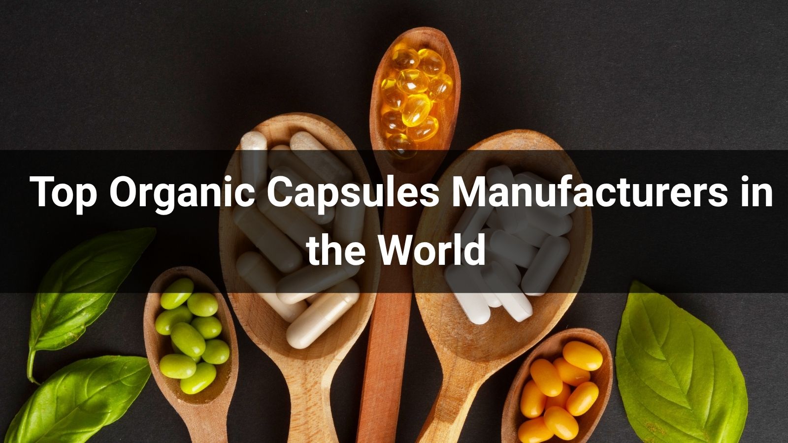 Top 10 Organic Capsule Manufacturers for Supplement Brands in 2026